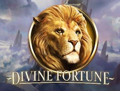 Divine Fortune logo