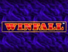 Winfall logo