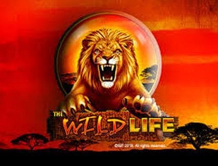 wildlife slot online