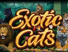 Exotic Cats logo