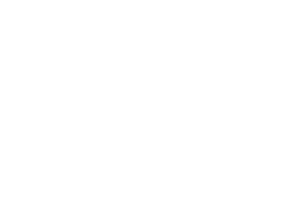 Playson logo