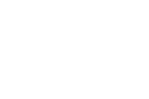 4ThePlayer logo
