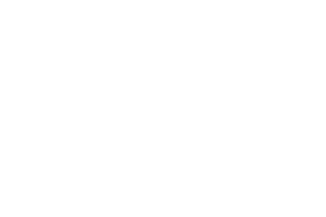 Northern Lights Gaming logo
