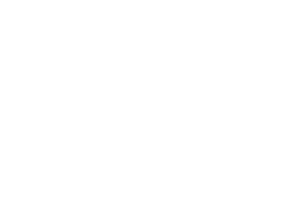 StakeLogic logo