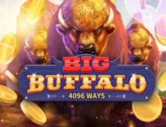 Big Buffalo logo