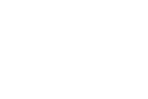 SYNOT logo