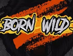 Born Wild logo