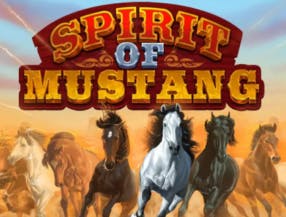 Spirit of Mustang