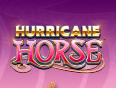 Hurricane Horse logo
