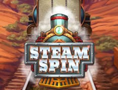 SteamSpin logo