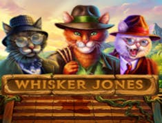 Whisker Jones logo