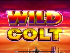 Wild Colt logo