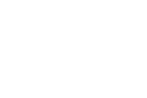 Snowborn Games logo