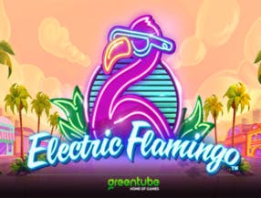 Electric Flamingo