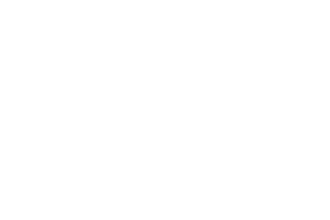 IGT logo