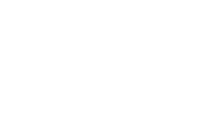 Realtime Gaming logo