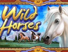 Wild Horses (High 5 Games) logo