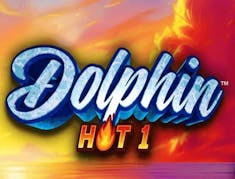 Dolphin hot 1 logo