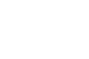 Evoplay logo