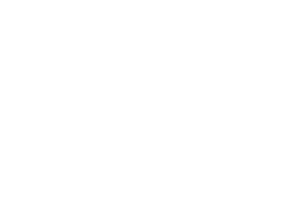 Playtech logo