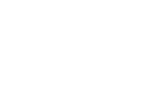 Crazy Tooth Studios logo