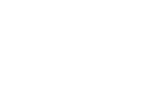 Amusnet logo