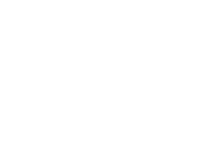 Leander Games logo