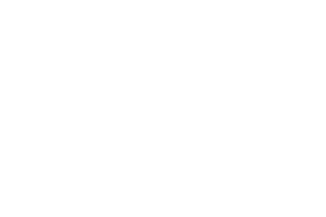 Octoplay logo