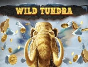 Wild Tundra